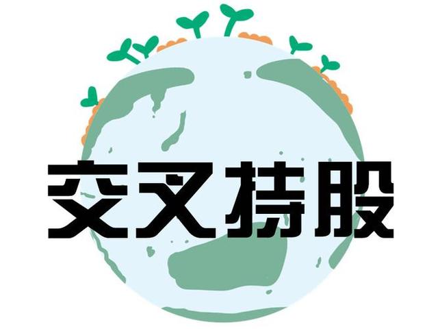 交叉持股安排设计(交叉持股怎么计算持股比例)鹤壁市