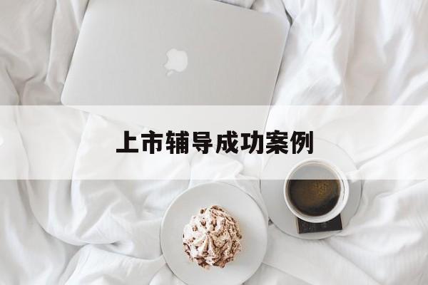 上市辅导成功案例(上市辅导成功后肯定会上市吗)鹤壁市